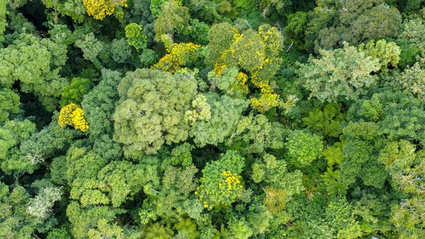 Quels sont les enjeux cachés des événements mondiaux récents ?