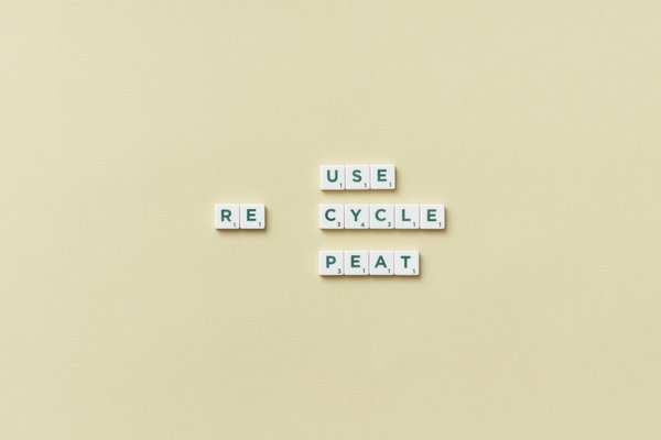 Classement des meilleurs sites cbd à ne pas manquer en 2025